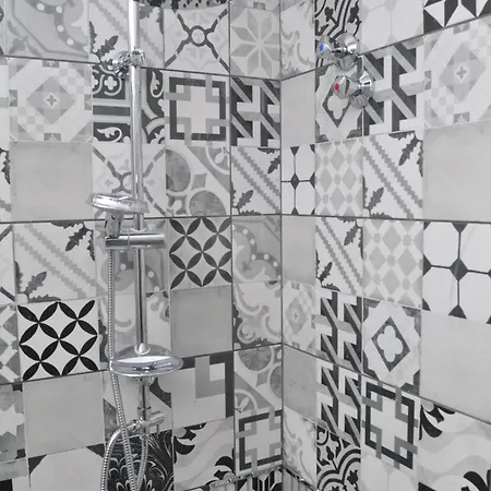 Polymnia Lassi * לאסי