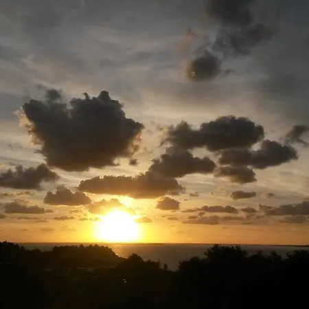 Polymnia Lassi דירה *